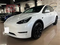 تسلا موديل Y